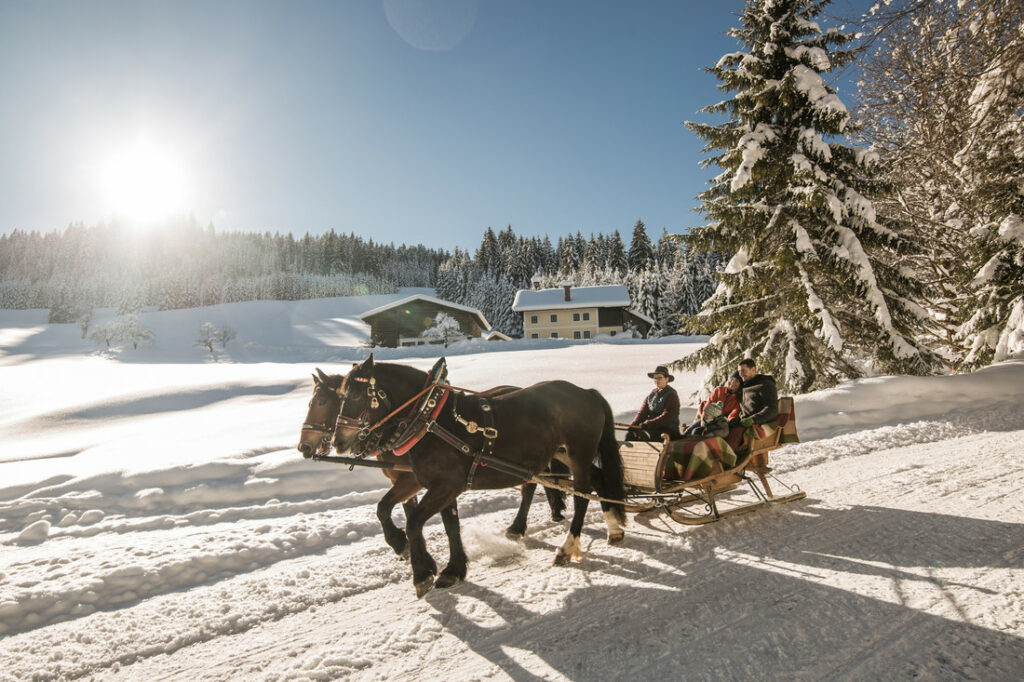 Winterliche Landschaft mit einer Pferdekutsche